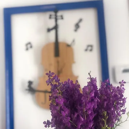 Quartet 3* Odessa