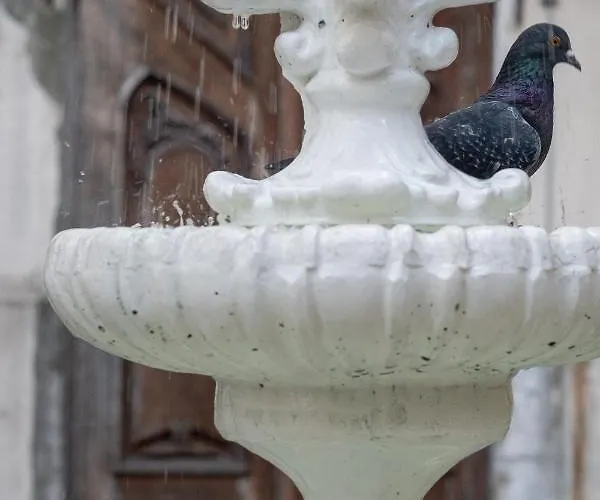 Quartet Locanda Odessa